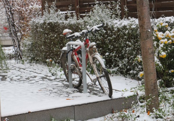 Winter in Nußloch 2022